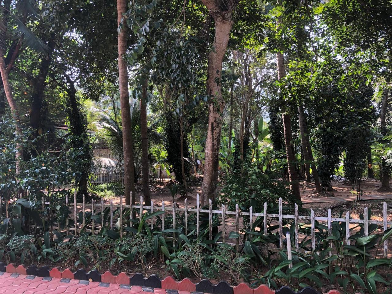 Ayuryogashram Heritage Thrissur Exterior foto